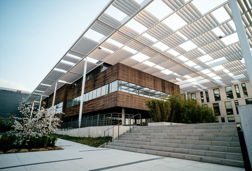 Mod APK Free Download